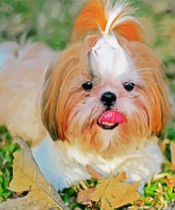 Shih Tzu Dog Animal paint by numbers