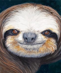 Sloth Face paint by numbers