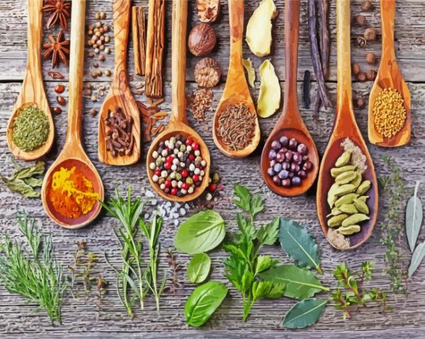 Spices And Herbs paint by numbers