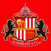 Sunderland A F C Logo paint by numbers