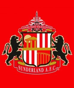 Sunderland A F C Logo paint by numbers