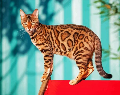 The Bengal Cat paint by numbers