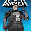 The Punisher Poster paint by numbers