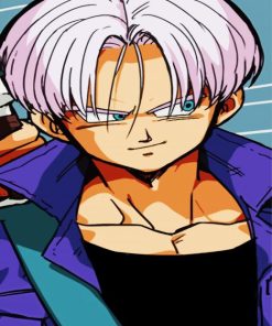 Trunks Dragon Ball paint by numbers