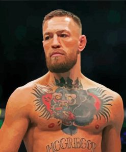 UFC Conor McGregor paint by numbers