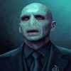 Voldemort paint by numbers