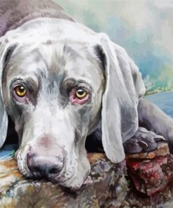 Weimaraner Dog Illustration Paint By Number