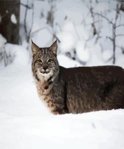 Wild Bobcat In The Snow Paint By Number