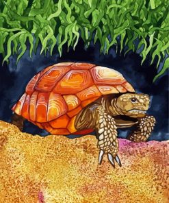 Wild Tortoise paint by numbers