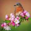 Wren On Flowers paint by numbers