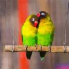 Yellow Green Lovebirds paint by numbers