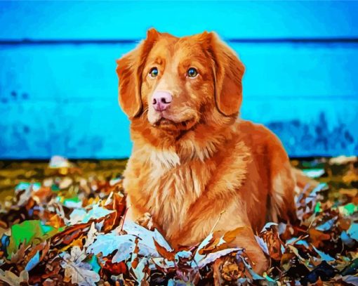 Adorable Toller paint by numbers