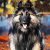 Aesthetic Belgian Tervuren paint by numbers