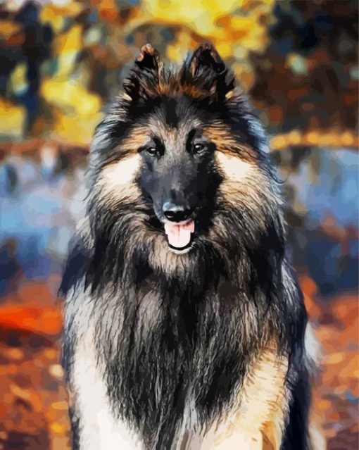 Aesthetic Belgian Tervuren paint by numbers