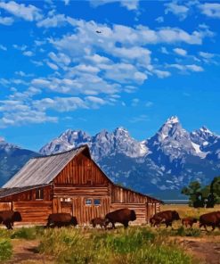 Aesthetic Teton County Wyoming paint by numbers