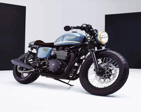 Aesthetic Triumph Paint By Number