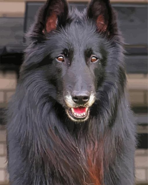 Aesthetic Black Belgian Tervuren paint by numbers