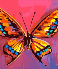 Aesthetic Colorful Butterfly paint by numbers