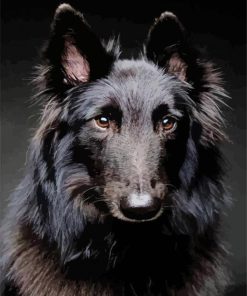 Black Belgian Tervuren Dog Paint By Number