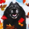 Black Tervuren And Leaves Paint By Number