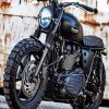 Black Triumph Paint By Number