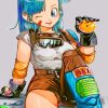 Bulma Dragon Ball paint by numbers