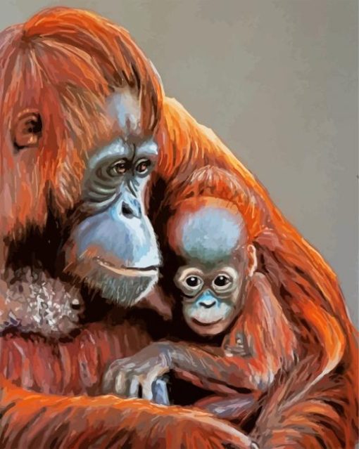 Orangutans Mother Paint By Number