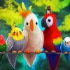 Cute Colorful Birds Paint By Number