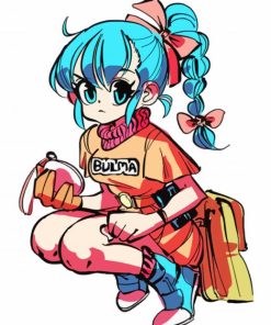 Cute Bulma paint by numbers