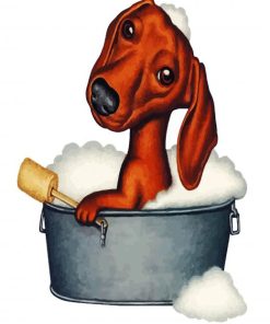 Dachshund In Bath Paint By Numbe