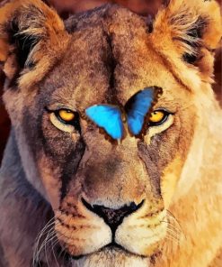 Lion And Butterfly Paint By Number