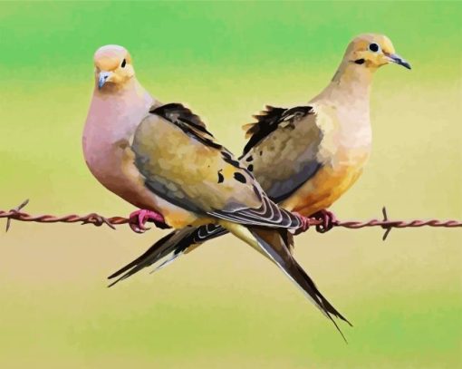 Mourning doves Paint By Number