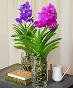 Purple and Pink Vanda Flowers paint by numbers