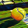 Tennis Ball Paint By Number