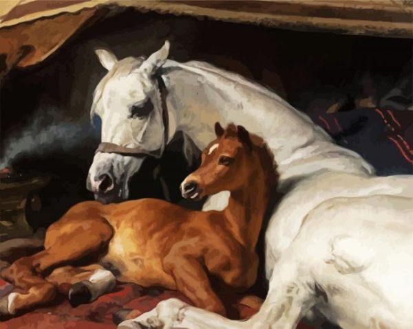 The Arab Tent Paint By Number