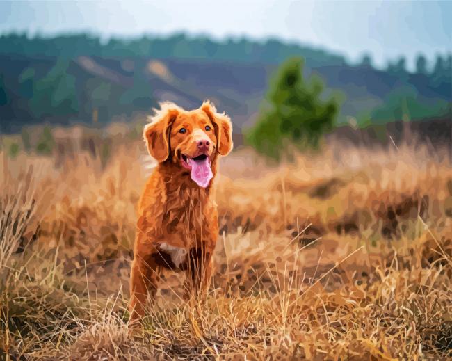 Toller Dog Puppy paint by numbers