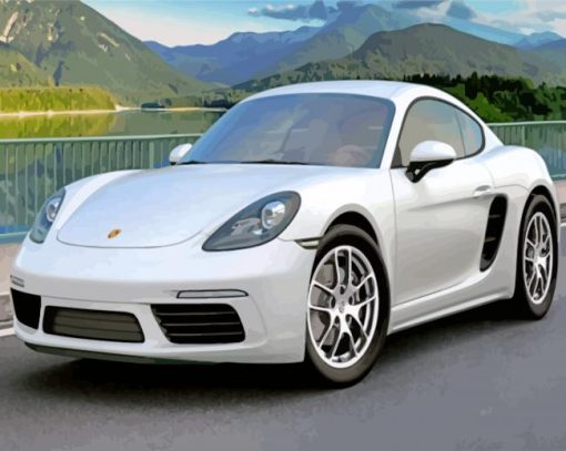 White Porsche Car paint by numbers