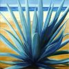 Agave Plants Paint By Number