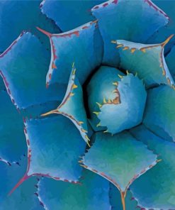 Agave With Thorns Paint By Number