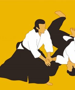 Aikido Sport Paint By Number