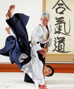 Aikido Martial Art Paint By Number