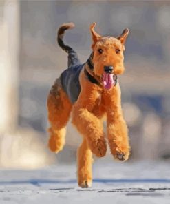 Airedale Terrier Running Paint By Number