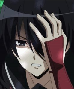 Akame Anime Character paint by numbers