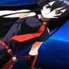 Akame Anime Girl paint by numbers