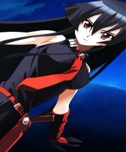 Akame Anime Girl paint by numbers