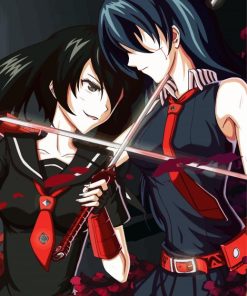 Akame Vs Kurome Paint By Number