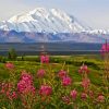 Alaska Denali Mountain paint by numbers