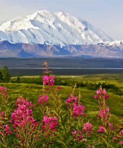 Alaska Denali Mountain paint by numbers