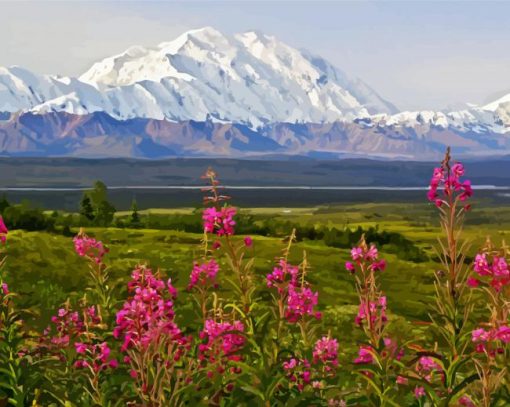 Alaska Denali Mountain paint by numbers