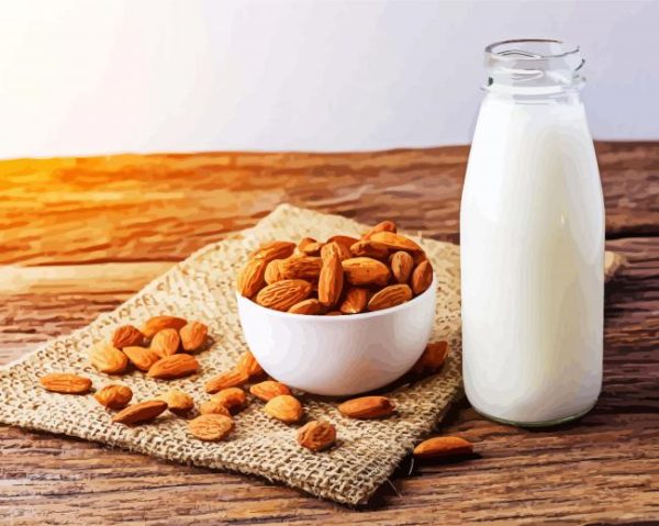 Almonds Milk Paint By Number